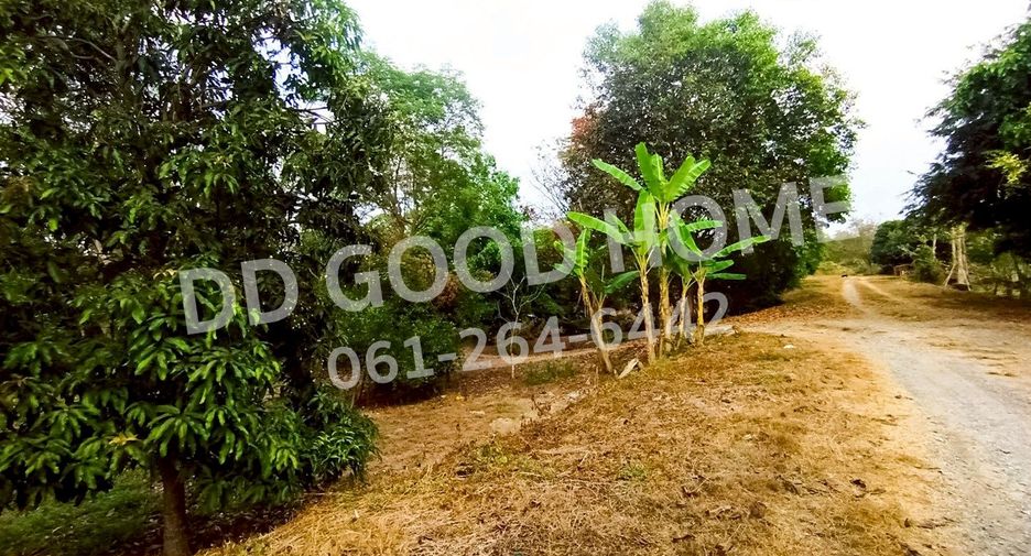 ขาย ที่ดิน ใน บ้านนา, นครนายก
