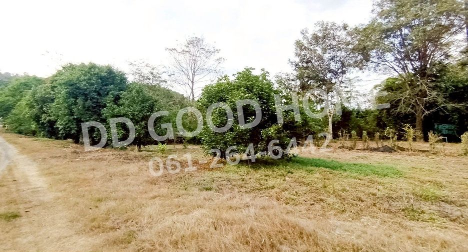 ขาย ที่ดิน ใน บ้านนา, นครนายก