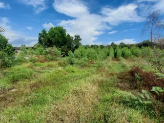 出售 土地 在 Klaeng, Rayong