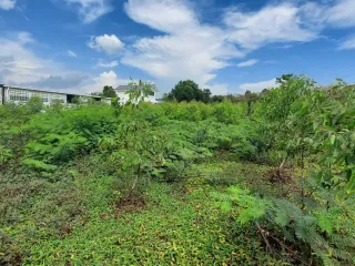 出售 土地 在 Klaeng, Rayong