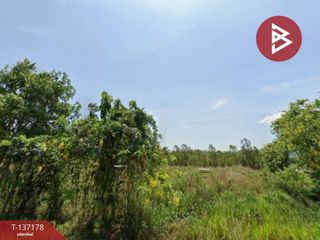 ขาย ที่ดิน ใน ท่ายาง, เพชรบุรี