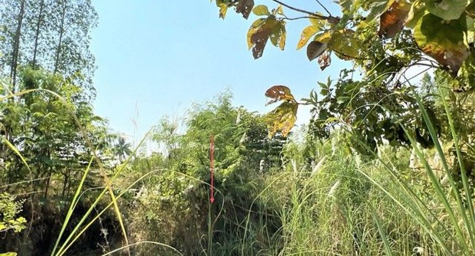 For sale land in Khlong Lan, Kamphaeng Phet