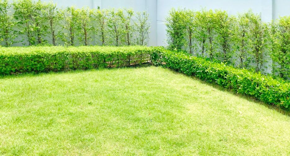 For sale 4 bedrooms house in Bang Bua Thong, Nonthaburi