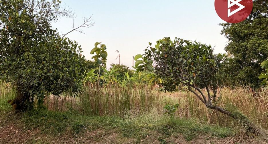 À vendre terrain à Ban Pong, Ratchaburi