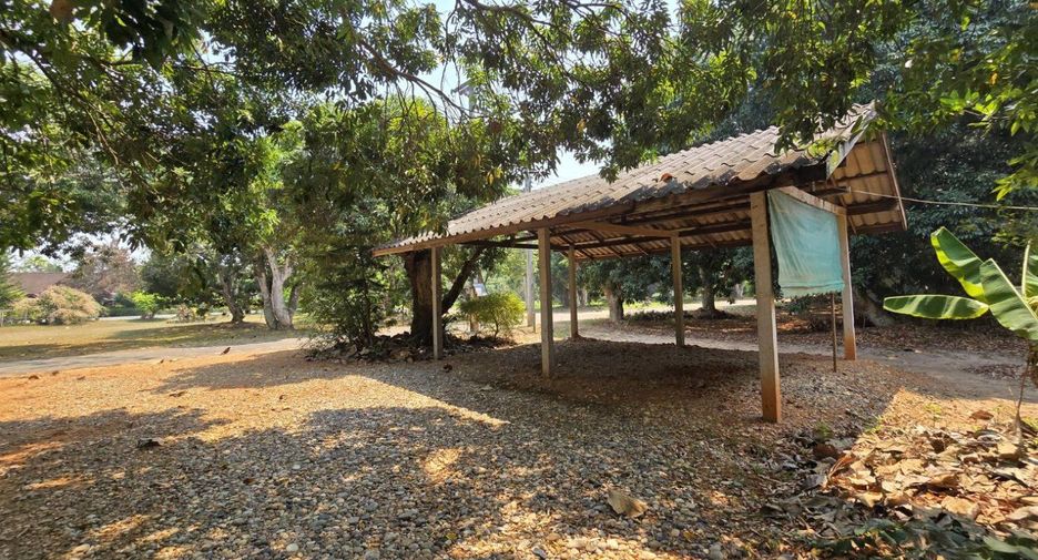 For sale land in San Sai, Chiang Mai