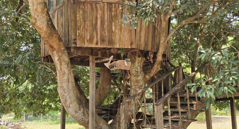 For sale land in San Sai, Chiang Mai