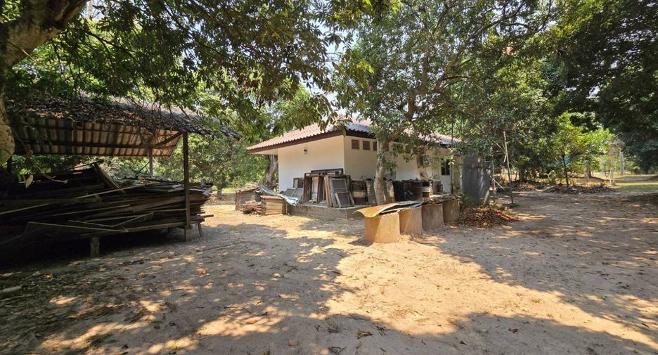 For sale land in San Sai, Chiang Mai
