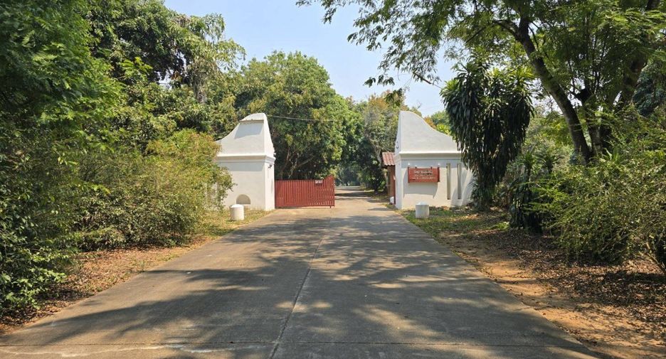 For sale land in San Sai, Chiang Mai