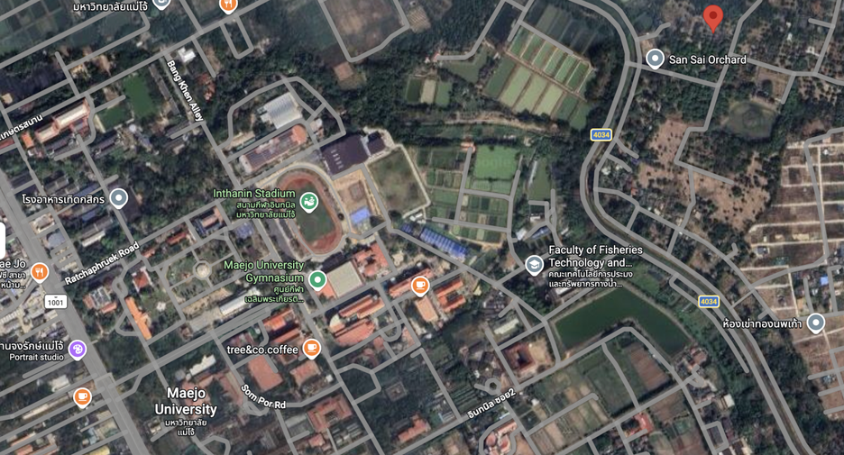 For sale land in San Sai, Chiang Mai