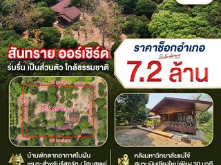 For sale land in San Sai, Chiang Mai