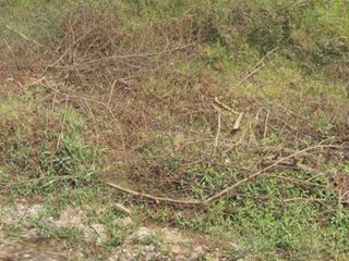 For sale land in Si Racha, Chonburi