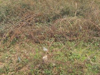 For sale land in Si Racha, Chonburi