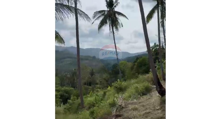 For sale land in Ko Samui, Surat Thani