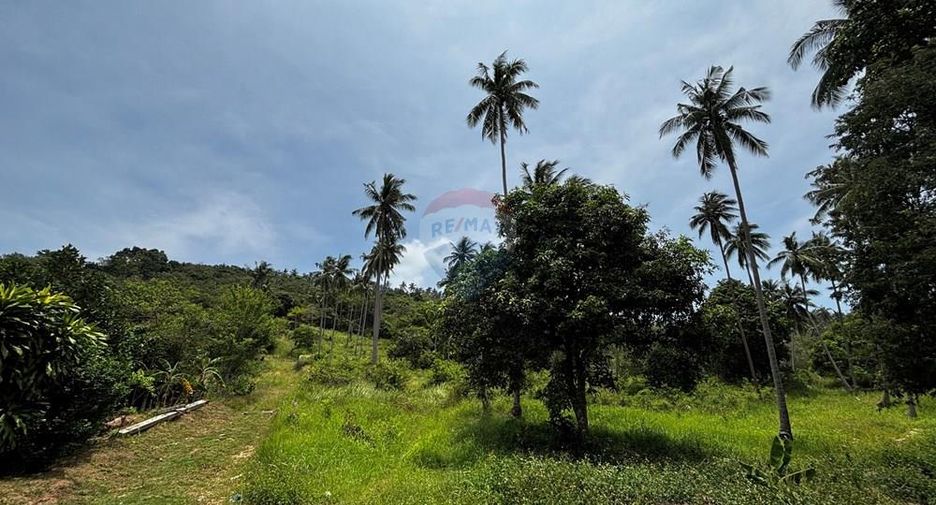 For sale land in Ko Samui, Surat Thani