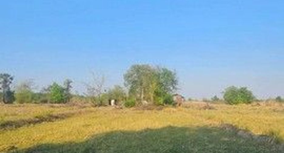 For sale land in Sawankhalok, Sukhothai