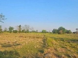 出售 土地 在 Sawankhalok, Sukhothai