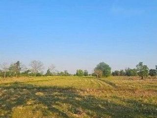 出售 土地 在 Sawankhalok, Sukhothai