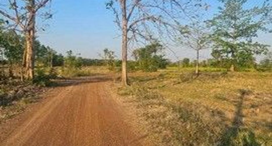 For sale land in Sawankhalok, Sukhothai