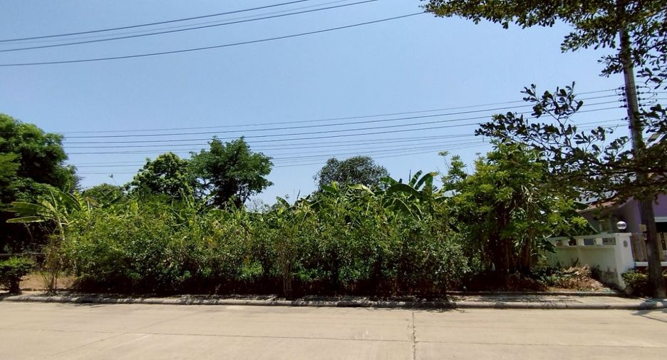 出售 土地 在 Sam Phran, Nakhon Pathom