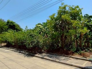 À vendre terrain à Sam Phran, Nakhon Pathom