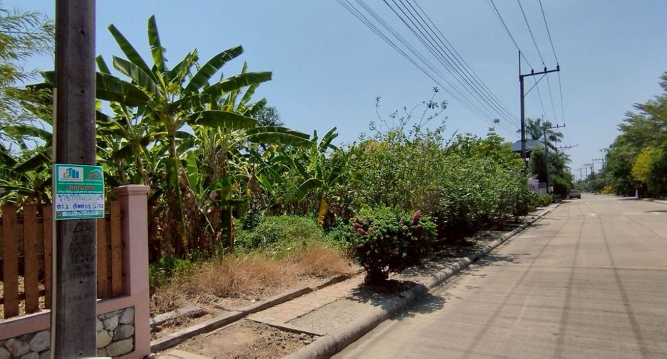出售 土地 在 Sam Phran, Nakhon Pathom