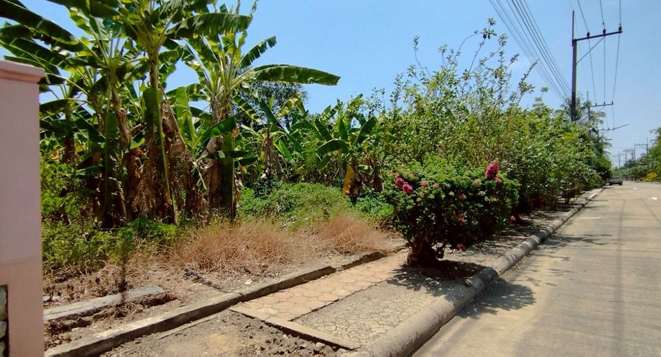 出售 土地 在 Sam Phran, Nakhon Pathom