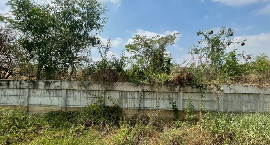 Grundstück zum Kauf in Lam Luk Ka, Pathum Thani