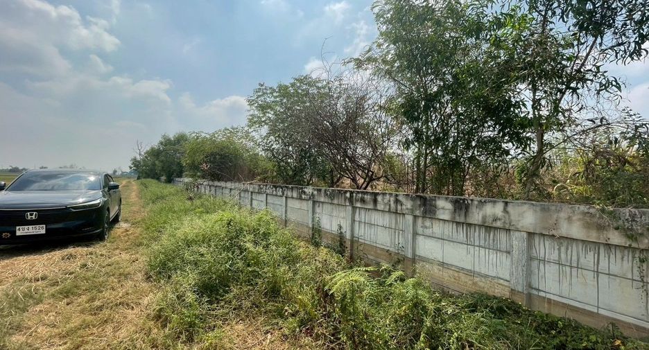 Grundstück zum Kauf in Lam Luk Ka, Pathum Thani