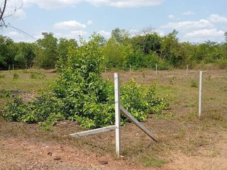 For sale land in Mueang Udon Thani, Udon Thani
