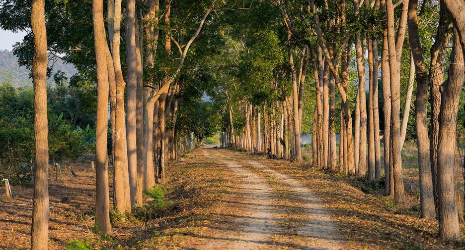 À vendre terrain à Mueang Kanchanaburi, Kanchanaburi