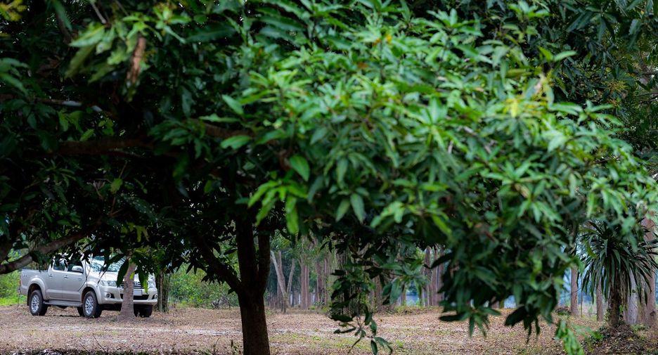 À vendre terrain à Mueang Kanchanaburi, Kanchanaburi