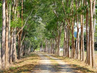 Продажа Участок в Mueang Kanchanaburi, Канчанабури