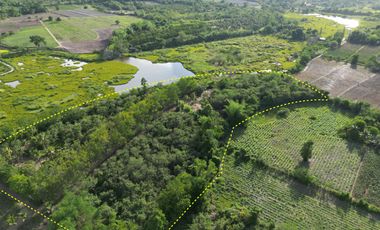 À vendre terrain à Mueang Kanchanaburi, Kanchanaburi