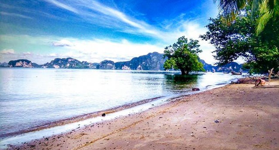 For sale land in Mueang Phangnga, Phang Nga