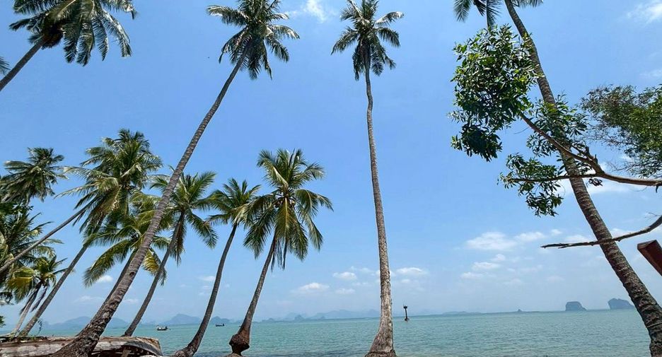 For sale land in Mueang Phangnga, Phang Nga
