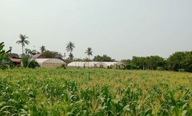 Terreno en venta en Tha Yang, Phetchaburi