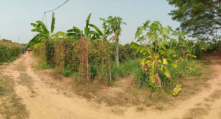 Grundstück zum Kauf in Tha Yang, Phetchaburi