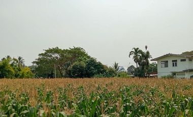 Terreno en venta en Tha Yang, Phetchaburi