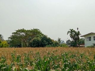 ขาย ที่ดิน ใน ท่ายาง, เพชรบุรี