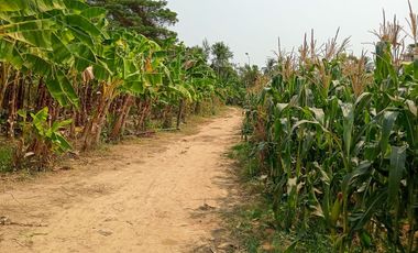 Terreno en venta en Tha Yang, Phetchaburi