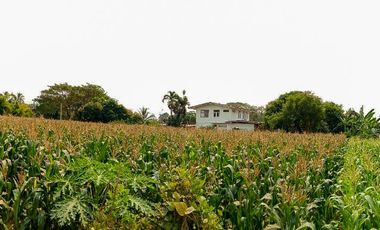 Terreno en venta en Tha Yang, Phetchaburi