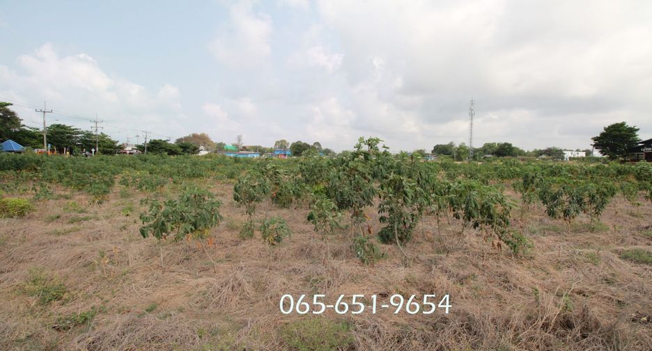For sale land in Mueang Rayong, Rayong