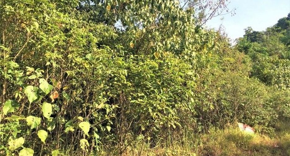 For sale land in Kapong, Phang Nga