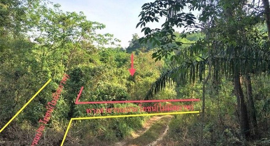 For sale land in Kapong, Phang Nga
