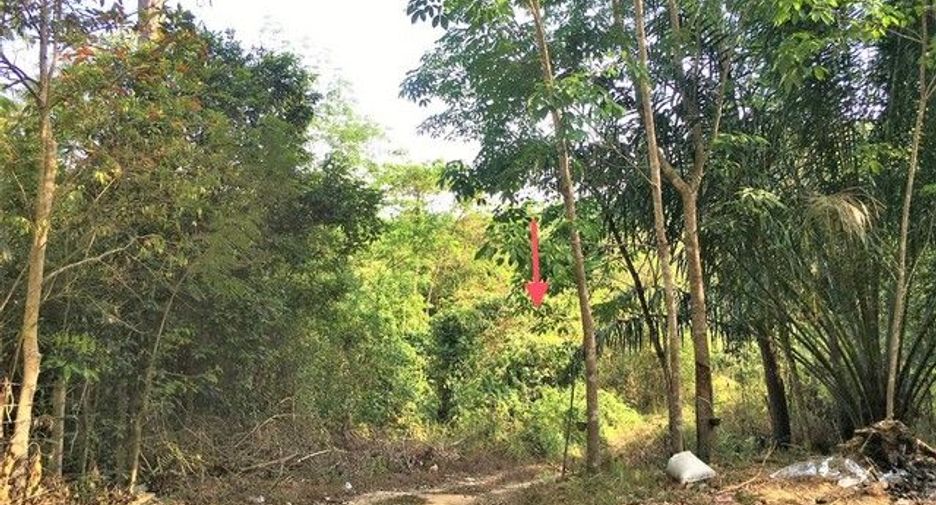 For sale land in Kapong, Phang Nga