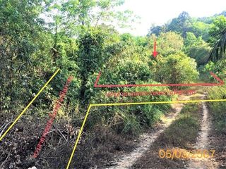 For sale land in Kapong, Phang Nga