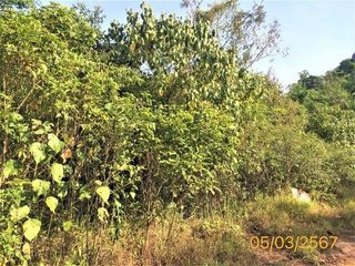 For sale land in Kapong, Phang Nga