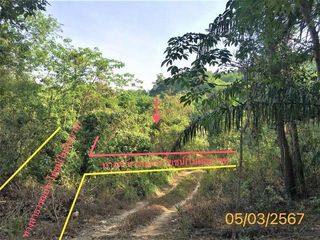 For sale land in Kapong, Phang Nga