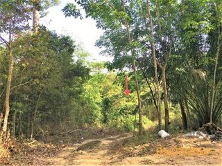 For sale land in Kapong, Phang Nga