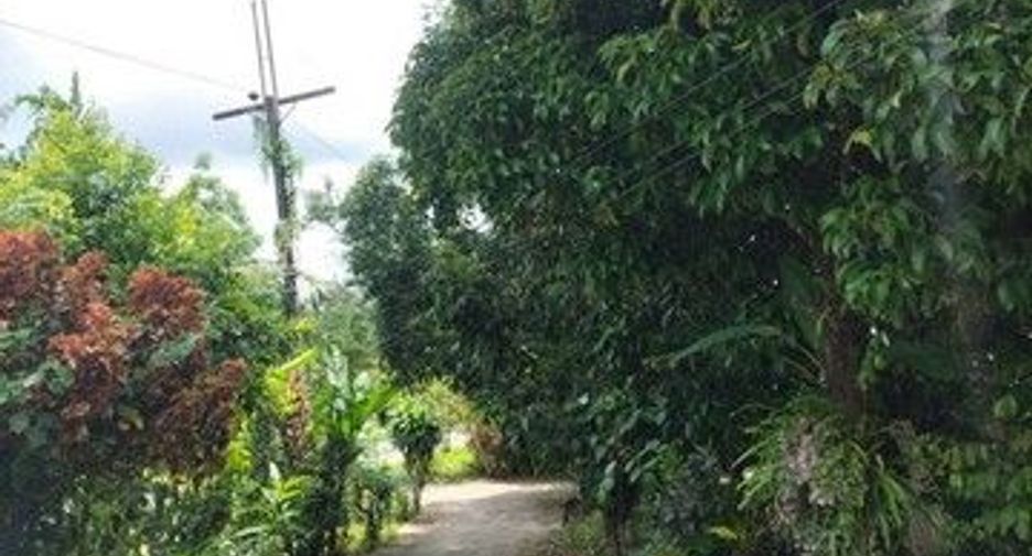 For sale 2 bedrooms house in Kapong, Phang Nga